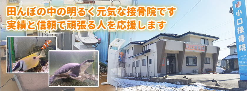 田んぼの中の明るく元気な接骨院です実績と信頼で頑張る人を応援します