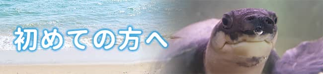 初めての方へ