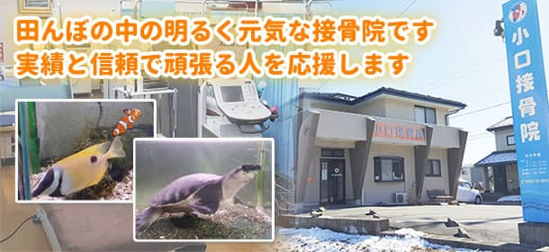 田んぼの中の明るく元気な接骨院です実績と信頼で頑張る人を応援します